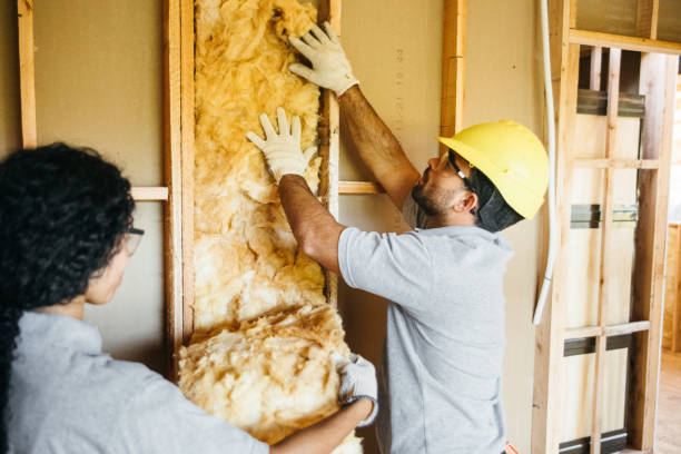 Best Residential Insulation Services  in Westport Village, CT